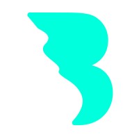 Bonobo Media logo - Similar company to The New Atlantic Gmbh