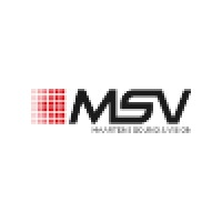 Maarten's Sound & Vision - MSV logo - Similar company to Tena Edm