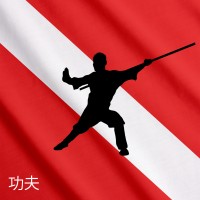 Kung Fu Divers logo - Similar company to Purestrength Ai