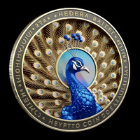PEACOCKVERSE logo - Similar company to Instaweb