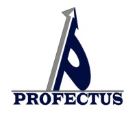 Profectus Academy logo - Similar company to Educura