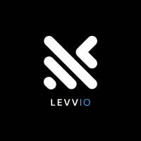 Levvio Consulting logo - Similar company to Bedri Digital I/S