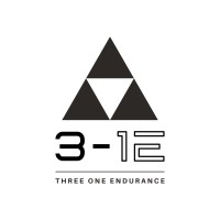Three One Endurance (3-1E) logo - Similar company to Dark Cherry Creative