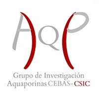 Grupo Aquaporinas (AQP Team) en CEBAS-CSIC logo - Similar company to Hexagon Agro Mexico