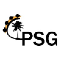 Palmetto Security Group logo - Similar company to Savage Digital