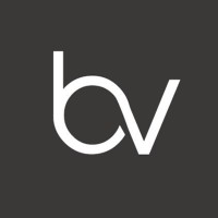 VBridge logo - Similar company to Vbridge