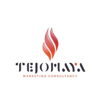 Tejomaya Consultancy | Digital Marketing Agency logo - Similar company to Technojack Infosolutions