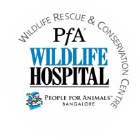 PFA WILDLIFE HOSPITAL BENGALURU logo - Similar company to Vet Drugs