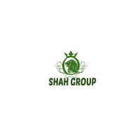 SHAH GROUP logo - Similar company to Shah Group