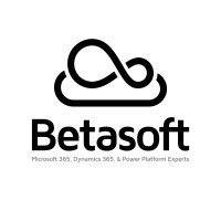 Betasoft Solutions logo - Similar company to Web Hikerz