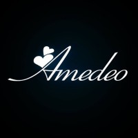 Amedeo Exclusive logo - Similar company to Conxeppt
