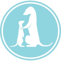 LookOut Chile logo - Similar company to Tassapp
