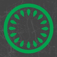 Kiwi logo - Similar company to Leather Links Inc