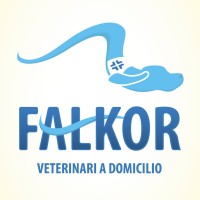 Falkor veterinari a domicilio logo - Similar company to Eta Beta Scs