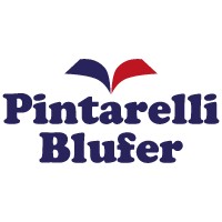 Pintarelli Industrial logo - Similar company to Plasmolde
