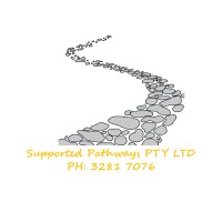 Supported Pathways PTY LTD logo - Similar company to Support Pathways