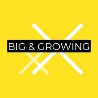 Big & Growing New Work Festival logo - Similar company to Supyou Consulting Gmbh
