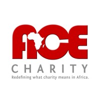 ACE Charity logo - Similar company to Empowered African Youths Foundation