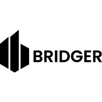 Bridger logo - Similar company to Ingryd Academy