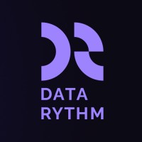 DataRythm logo - Similar company to Bearskin Group