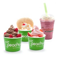 Peachwave Frozen Yogurt & Gelato logo - Similar company to Dígame, Llc
