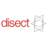 Disect Systems Ltd
