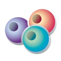 ENDOCLUBNORD logo - Similar company to Endoscopy Campus
