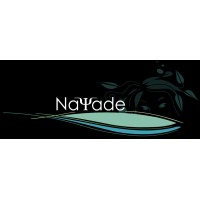 Nayade 3D logo - Similar company to Blue Monkey Studio Sas