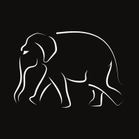 Ivory Digital logo - Similar company to Develop Bright