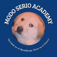 Modo Serio Academy logo - Similar company to Lead Unmsm