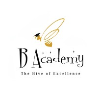 B Academy logo - Similar company to Chamix