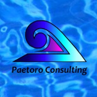 Paetoro Consulting UK Ltd logo - Similar company to Danish Cleantech Hub