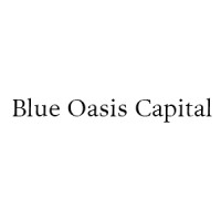 Blue Oasis Capital logo - Similar company to Malin Capital Partners