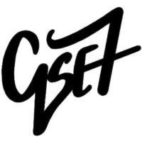 QSE7, LLC logo - Similar company to Glemser
