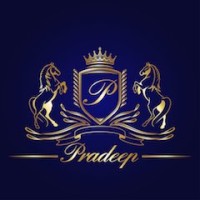 Pradeep logo - Similar company to Pradeep Insights Research