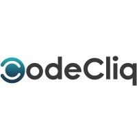Codecliq IT Services & Solution logo - Similar company to Codecliq