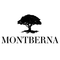 Montberna Investment Group logo - Similar company to Haven Green