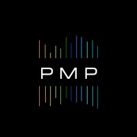 PMP logo - Similar company to Netmon Information Systems Limited - Distributor