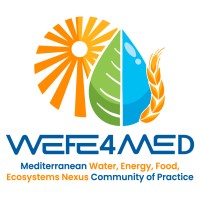 Wefe4med logo - Similar company to Prima Partnership