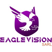 Eagle Vision Global logo - Similar company to Eagle Vision