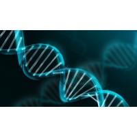 DNA Box LLC logo - Similar company to Where India Writes