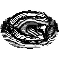 Gravity Maps