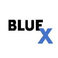 BlueX Game Studio logo - Similar company to Ucla Connection Lab