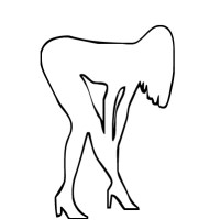 Shakeyobootys LLC logo - Similar company to Islaintel
