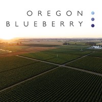 Oregon Blueberry logo - Similar company to Addition Design Office