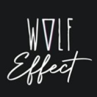 WolfEffect logo - Similar company to Tech Logic Ai