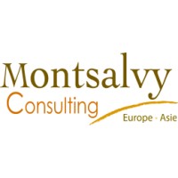 Montsalvy Consulting Firm logo - Similar company to Sinopole