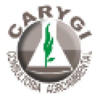 Carygi Consultoria Agroambiental