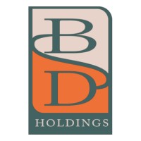BD Holdings SA logo - Similar company to Bd Holding