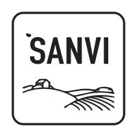 Sanvi logo - Similar company to Acumaxis
